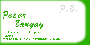 peter banyay business card